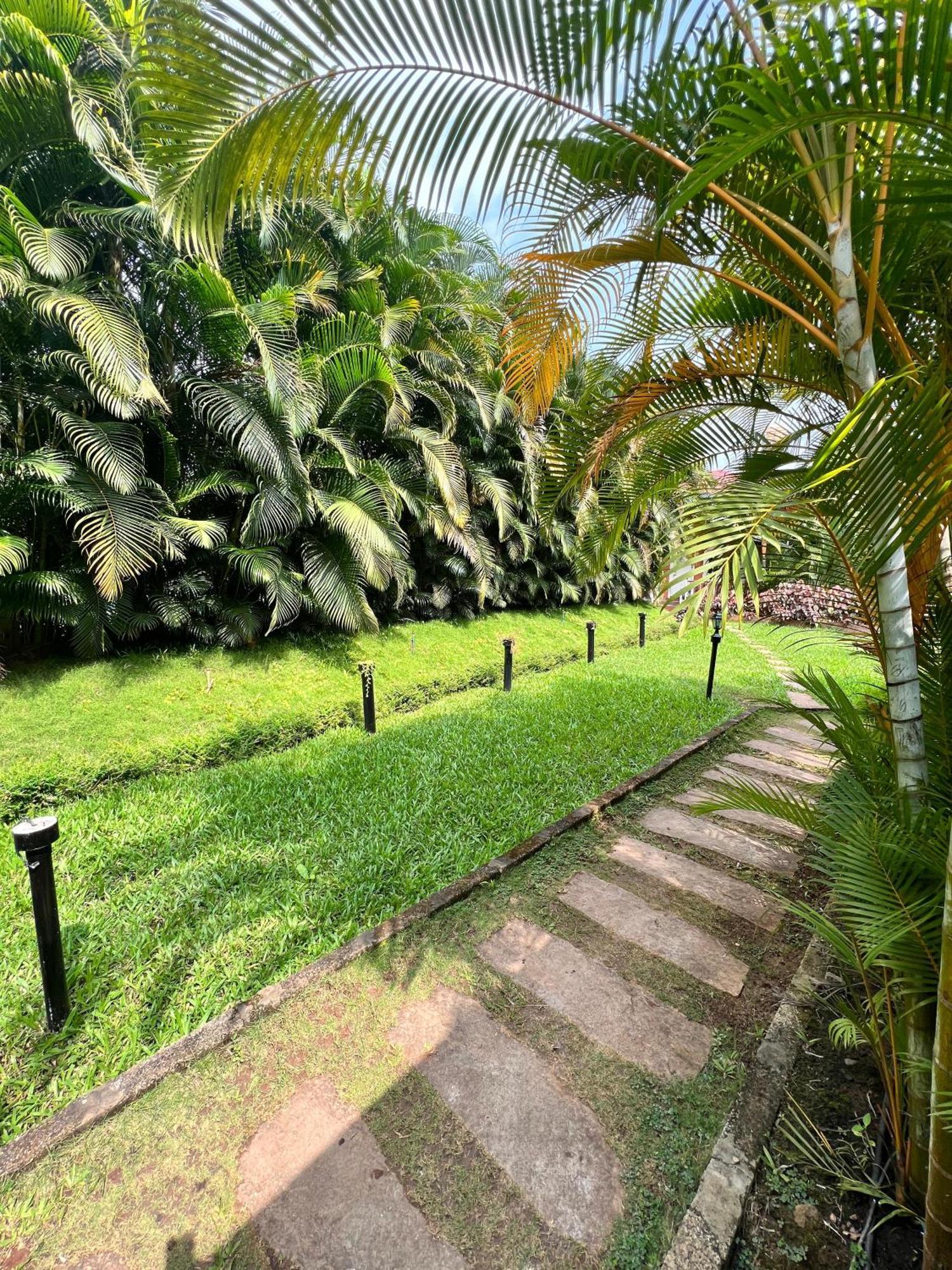 Plumeria Resort Kushālnagar Exterior foto